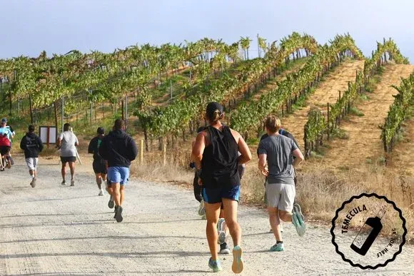 Runners on a dirt path through vineyards with rolling hills in the background.