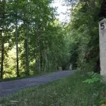 A paved trail winds through a lush green forest, with a concrete marker labeled '5' on the right side.