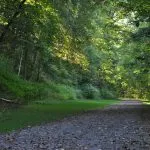 A sun-dappled gravel path winds through a lush green forest with trees lining the right side of the path.