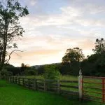 Scenic view of a wooden fence and gate along a grassy trail with trees and hills in the background at sunset.