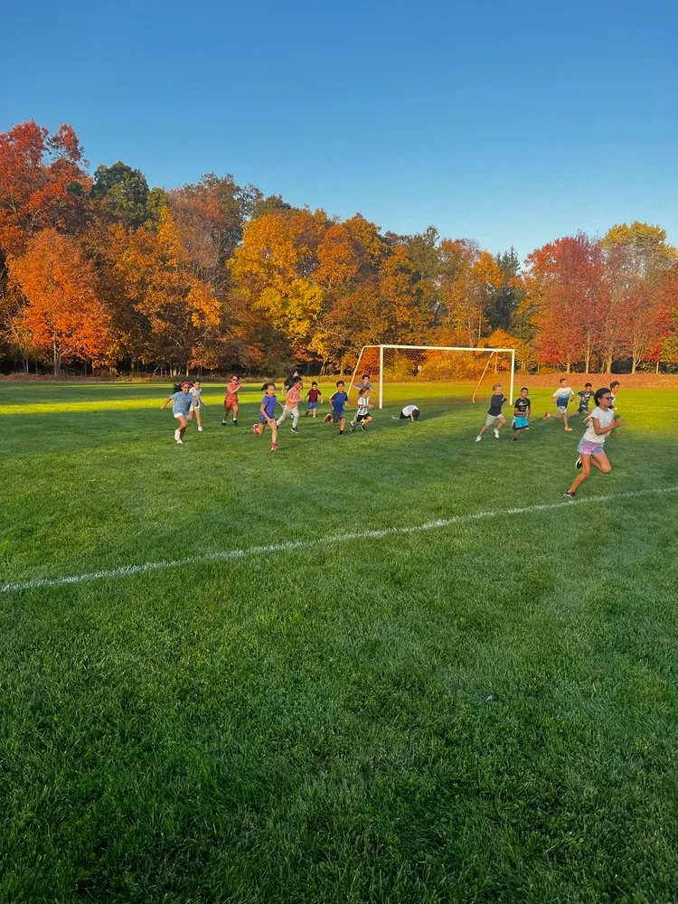 Children running on a grassy field with colorful autumn trees in the background.