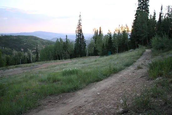 Triple Trail Challenge photo 3