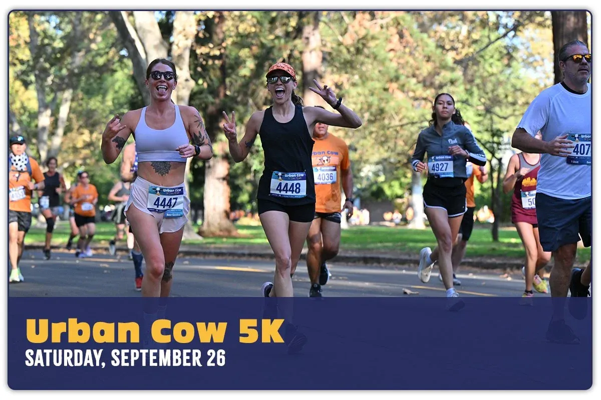 Runners participating in the Urban Cow 5K race on Saturday, September 26th, with excited expressions and bib numbers visible.