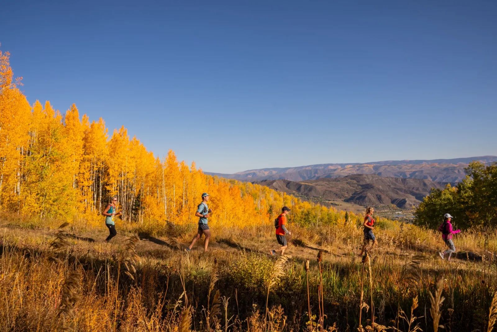 Runners on a trail with vibrant autumn foliage and distant mountains under a clear blue sky.