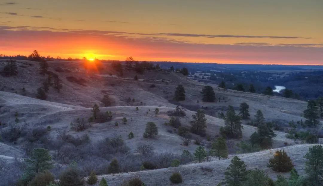 Sunrise over rolling hills with scattered pine trees and a distant river.