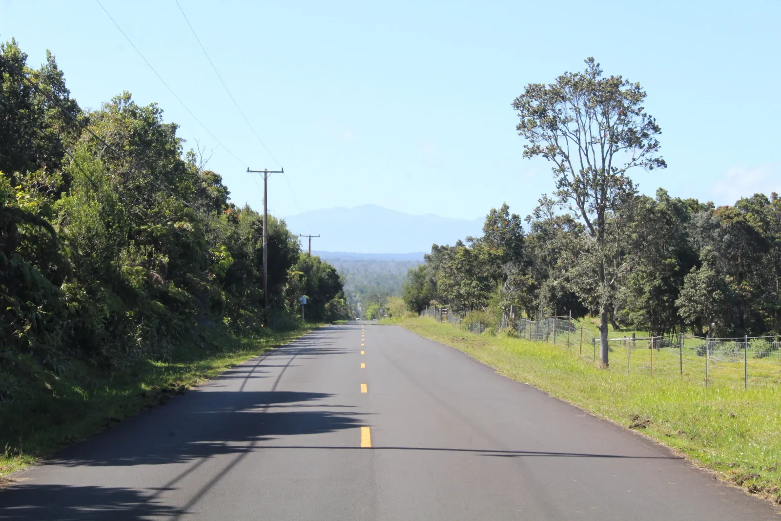 A paved road with a yellow dashed line curves through a lush green landscape with trees and distant mountains under a clear blue sky.