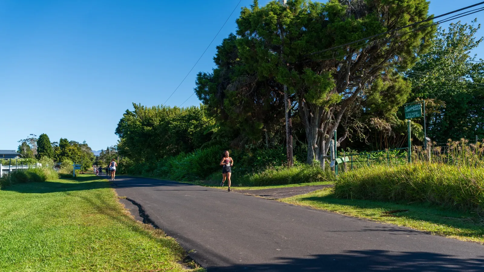A female runner runs on a paved road with lush green grass and trees on either side under a clear blue sky.