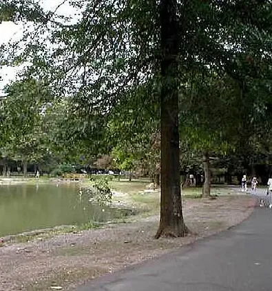 A paved path curves through a park next to a lake, with a few runners visible in the distance.